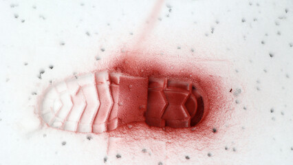 Ślad podeszwy buta odciśnięty w śniegu zabezpieczany na miejscu przestępstwa.  - obrazy, fototapety, plakaty
