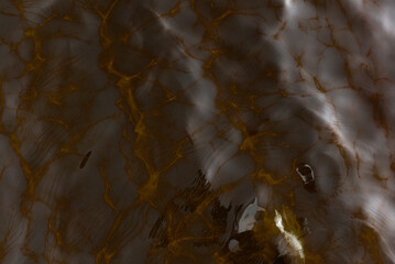 Abstract photography of light and shadow reflections from the surface of the water and waves in dark orange tones.