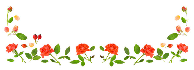 Flowers, petals and rose buds isolated on white .Wide photo. Pattern. Beautiful frame with empty space for congratulatory text.