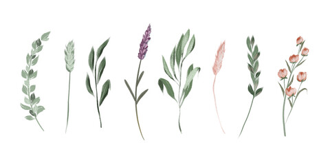 Set of lavender flowers and green branches, diy floral clipart, isolated illustration