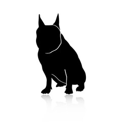 French Bulldog silhouette. Isolated on white background. Dog with reflection.