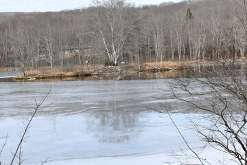 Partially frozen lake with beaver lodge 