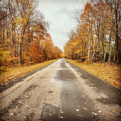 road in autumn