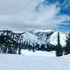 snow covered mountains