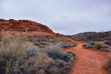 Chuckawalla and Turtle Wall trail desert hiking views Cliffs National Conservation Area Wilderness, Snow Canyon State Park St George, Utah, United States.