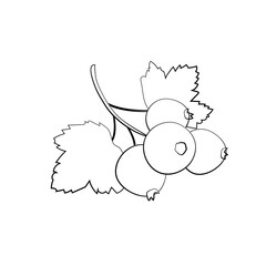 Black currant berry flat icon with inscription colorful vector illustration of eco food isolated on white. blackberry