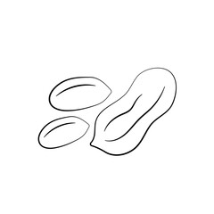 Peanuts in cartoon style. Nut icon for template label, packaging snackand emblem. Vector