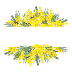 Floral  frame of mimosa flowers. Yellow spring border - obrazy, fototapety, plakaty