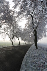 Route en hiver