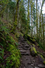 Along the Trail