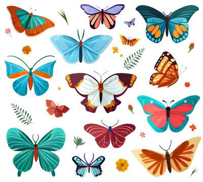 Butterfly set isolated on white background. Cartoon collection colorful flying butterflies among spring grass or summer flowers. Summer garden insects. Flat style. Natural vector illustration