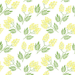 Botanical seamless pattern with yellow mimosa flowers and leaves on white background.