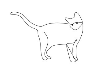 One continuous line cat isolated. Hand drawn one line cat. vector illustration