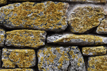 Mossy wall background