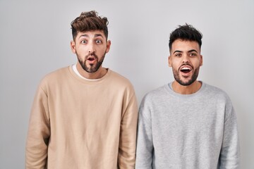 Young homosexual couple standing over white background afraid and shocked with surprise and amazed...