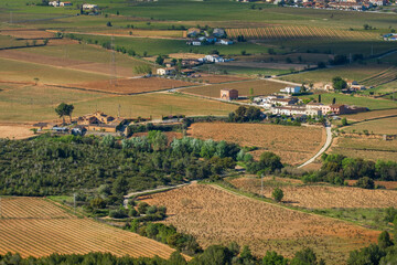 Fototapeta na wymiar Landscape with summer vineyards near Vilafranca del Penedes, Catalonia, Spain