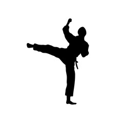 Fototapeta na wymiar karate fighter silhouette
