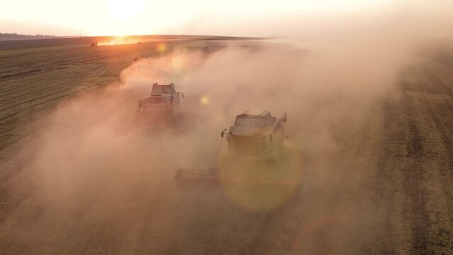 Aerial footage of beautiful sunset within agricultural countryside. Harvesting using combiners covered with dust from crops. High quality 4k footage