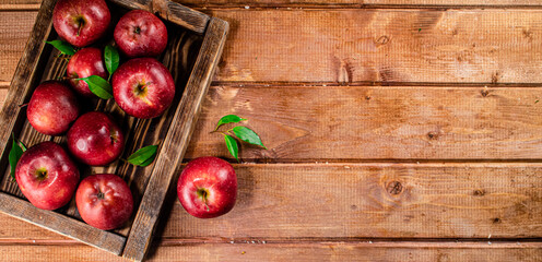 Fresh apples with leaves on the tray. 