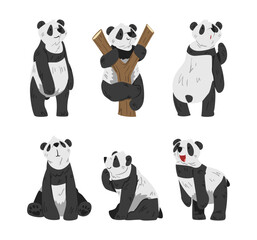 Cute Big Panda with Black and White Coat in Different Pose Vector Set