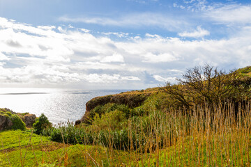 Fototapeta na wymiar meadow at the coast of Island Madeira with view on the ocean