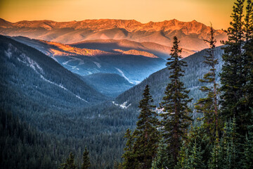 Foggy valley at sunrise
