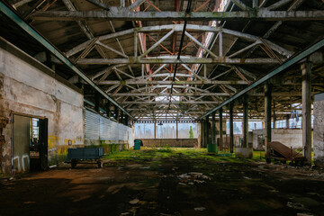 Old ruined industrial building overgrown by green moss and plants