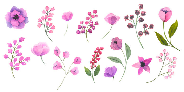 Set of watercolor flowers, hand drawn botanical illustration of flowers and leaves in magenta color. Ideal for wedding cards, prints, patterns, packaging design.