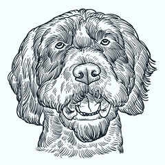 Vintage hand drawn sketch smile German Wirehaired Pointer dog