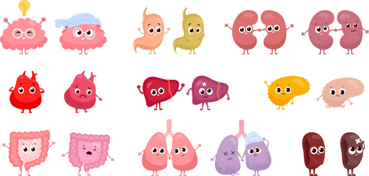 Healthy unhealthy organs. Whole and damaged human internal organ, sad or happy face characters anatomical parts stomach heart gut kidney sick liver cute cartoon vector illustration