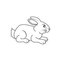rabbit icon