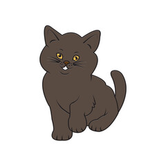 cat icon
