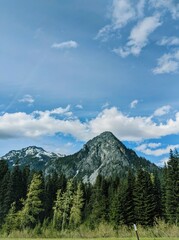 landscape in the mountains