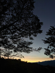 Silueta de arboles en el atardecer