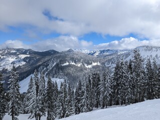 Fototapeta premium snow covered mountains