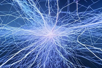 A neural electric network