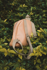 Beige backpack with metal details in natural background