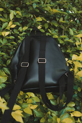 Black backpack with metal details in natural background