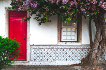 Fototapeta na wymiar A capture of a house facade with painted tin-glazed ceramic tiles with flowers, a vertical window with a red window border, and a wooden red of a residential building in Lisbon and a blossom tree