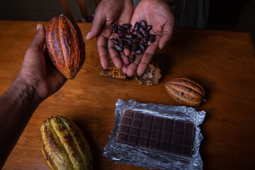 Two chocolate makers are holding cocoa pods with the extracted cocoa beans in their hands.