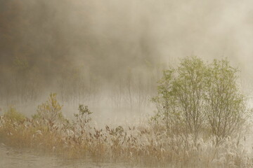 Obraz na płótnie Canvas Landscape photo of a lake covered with morning fog. Winter morning photo. fantastic impression.