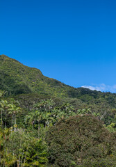 Fototapeta na wymiar Green Mountain Landscape with Blue Sky.