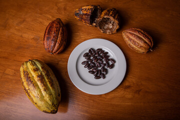 Cocoa beans next to cocoa pods, chocolate production.
