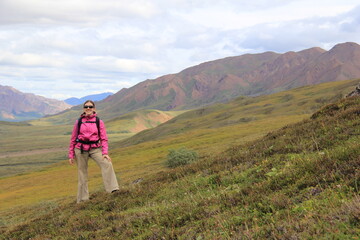 woman hiking on tundra in Denali national park Alaska