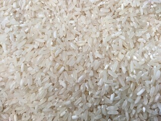 white rice background