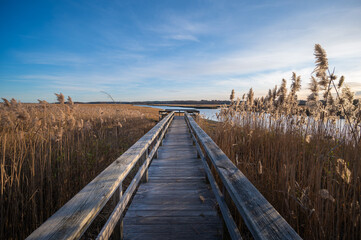 A boardwalk through the marsh grasses at sunset