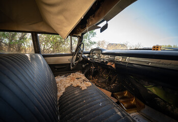 The interior of an abandoned, rusting automobile