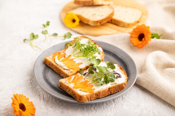 White bread sandwiches with cream cheese, calendula and microgreen on gray. side view, selective focus.