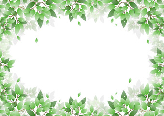 美しい新緑の背景素材