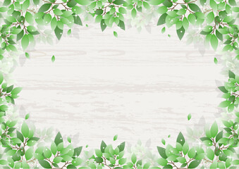 Naklejka premium 美しい新緑の背景素材